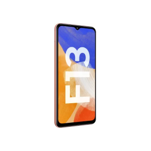 Samsung Galaxy F13